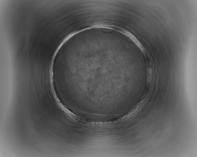 X0000116570955200912171501