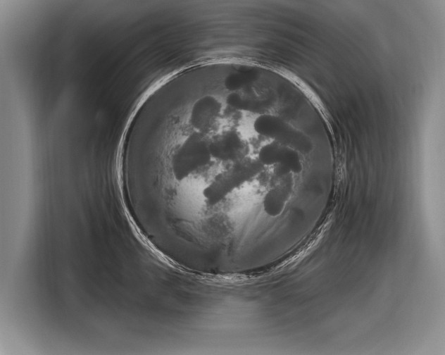 X0000116570957200912171501