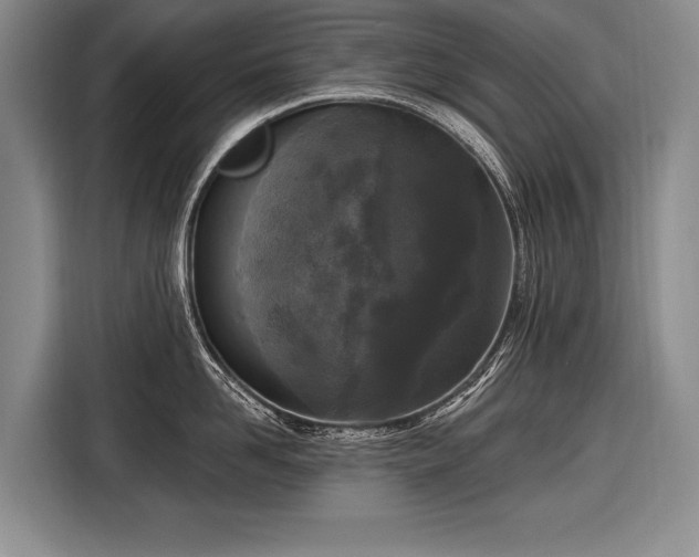 X0000116570958200912171501