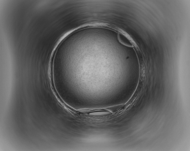 X0000116570959200912171501