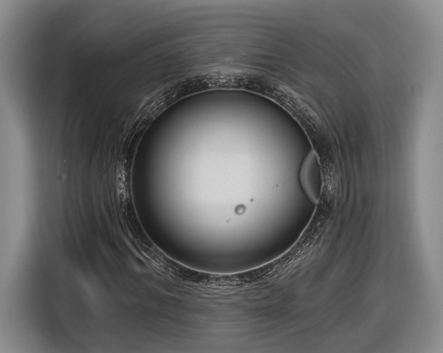 X0000116570964200912171500