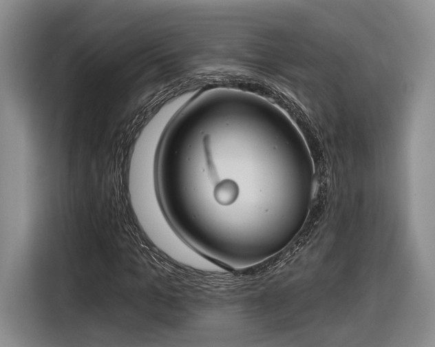 X0000116570965200912171500