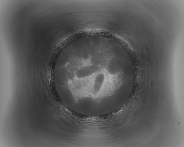 X0000116570966200912171500