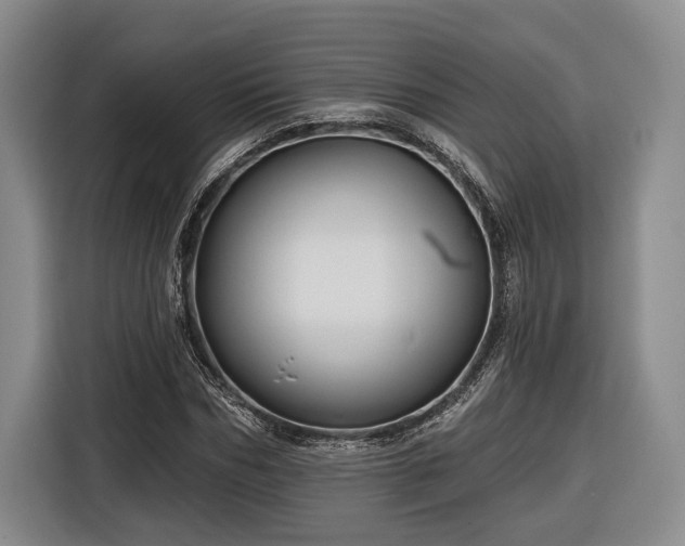 X0000116570970200912171500