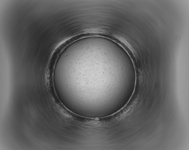 X0000116570971200912171500