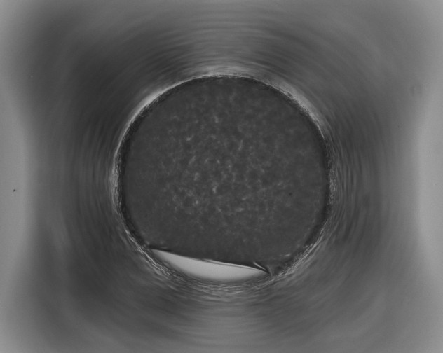 X0000116570975200912171500