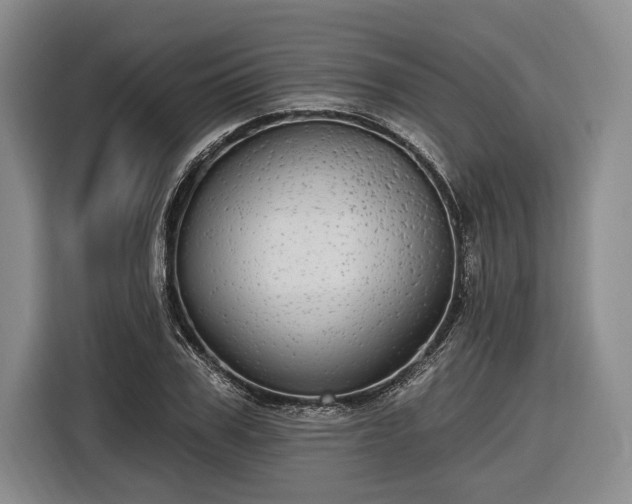 X0000116570979200912171500