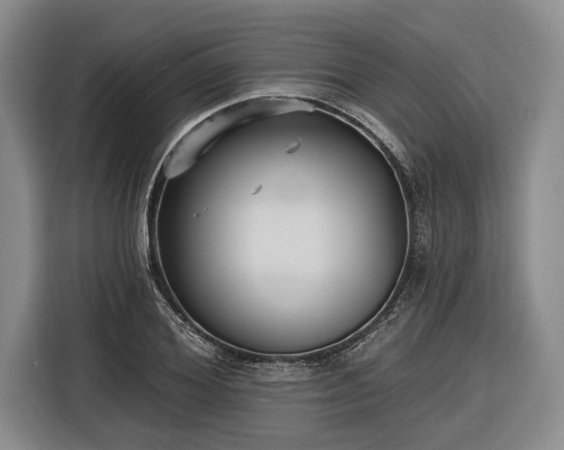 X0000116570980200912171500