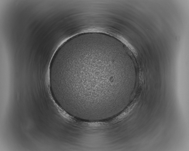 X0000116570988200912171500