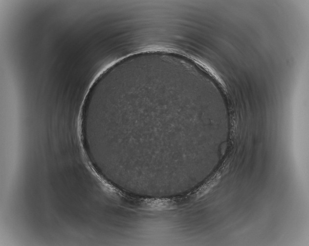 X0000116570991200912171500