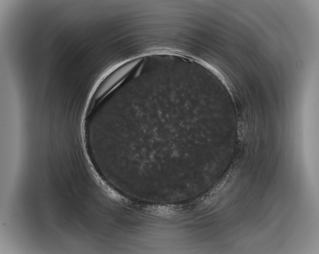 X0000116570995200912171500