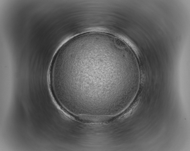 X0000116570999200912171500