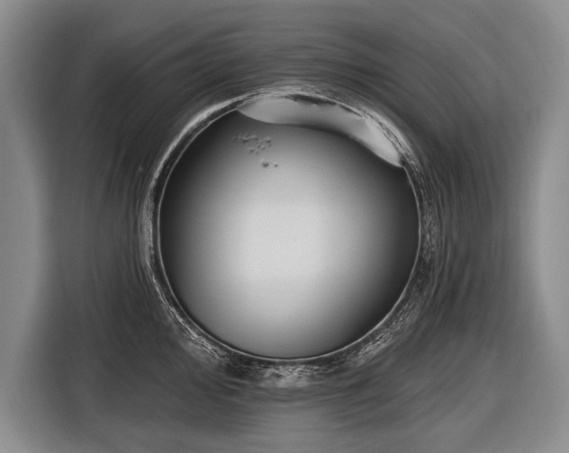 X0000116571000200912171500