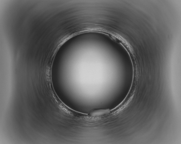 X0000116571001200912171500