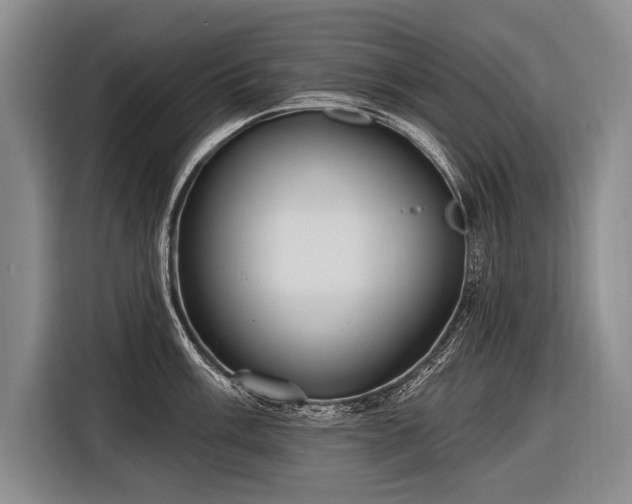 X0000116571003200912171500