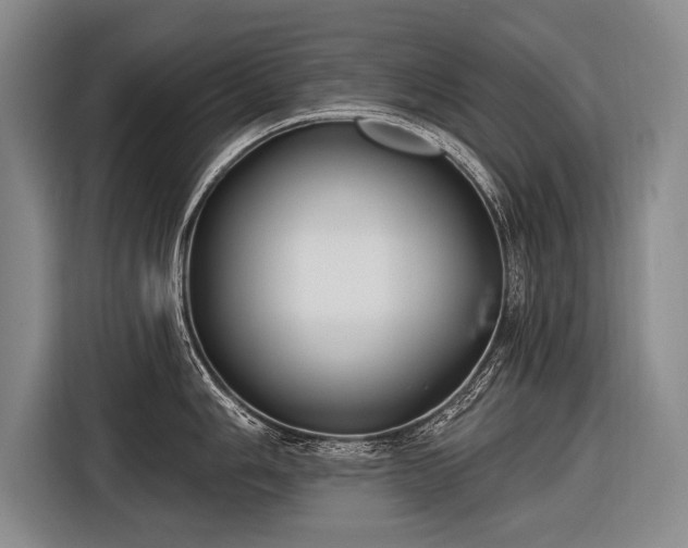 X0000116571006200912171500