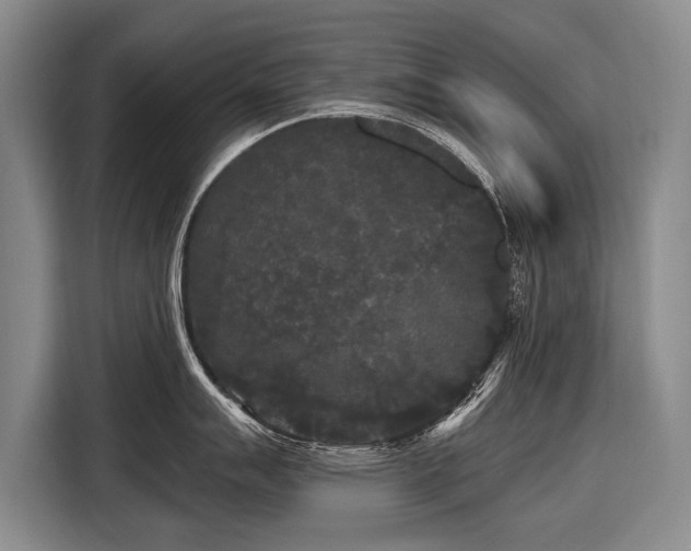 X0000116571007200912171500