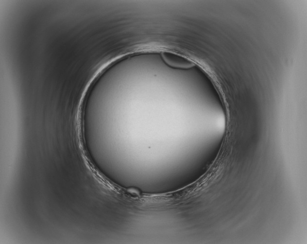 X0000116571008200912171500