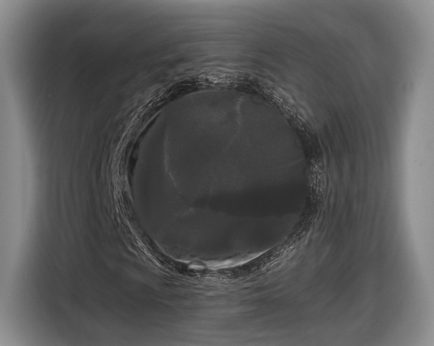 X0000116571009200912171459