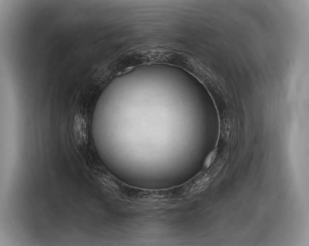 X0000116571010200912171459