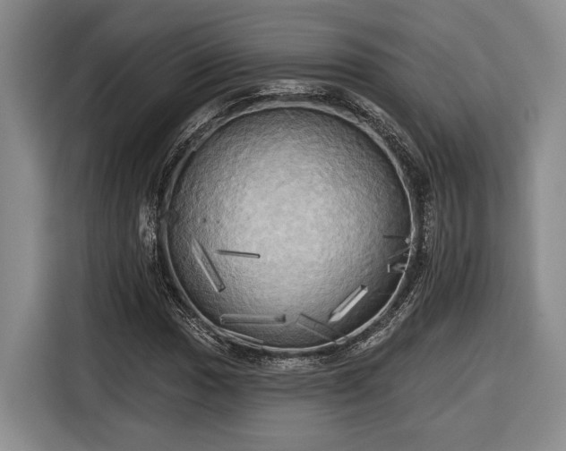 X0000116571017200912171459