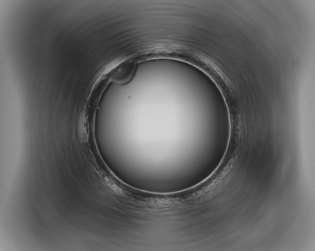 X0000116571018200912171459