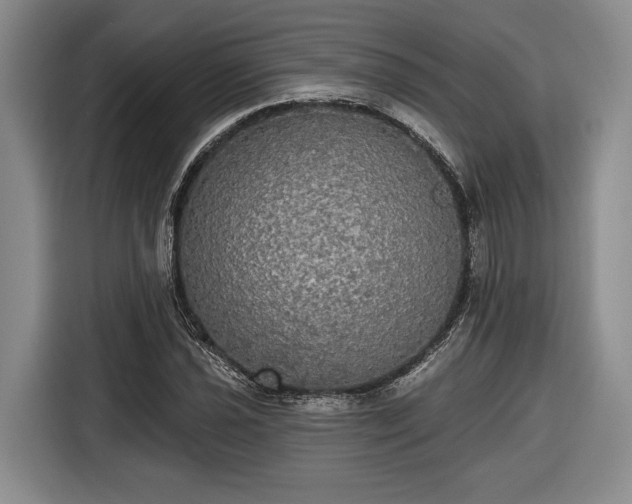 X0000116571021200912171459