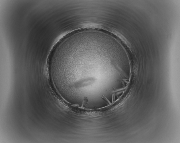 X0000116571022200912171459