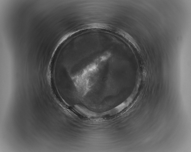 X0000116571024200912171459