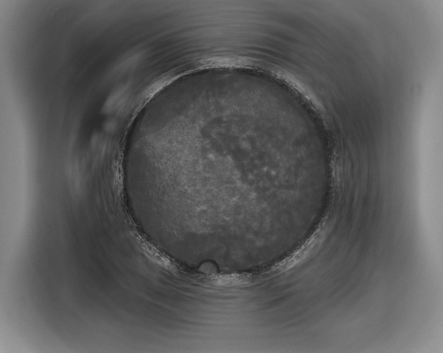 X0000116571025200912171459