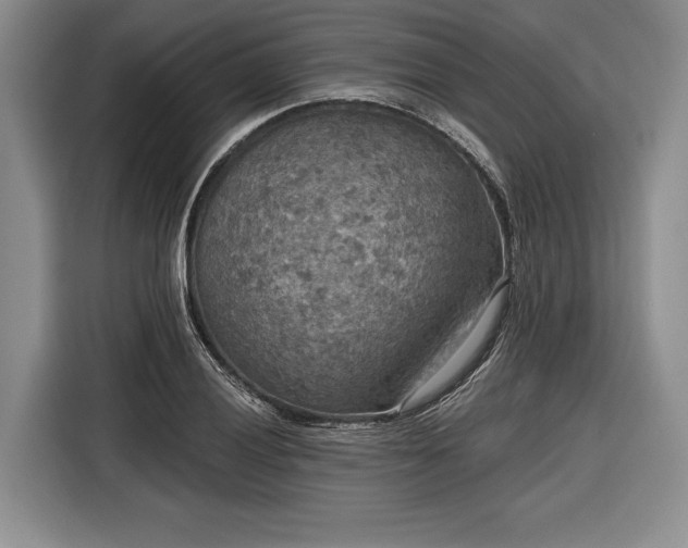 X0000116571028200912171459