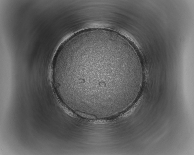 X0000116571029200912171459