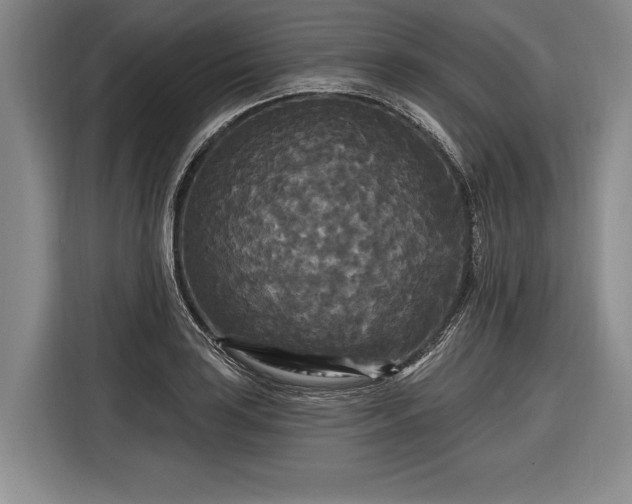 X0000116571035200912171500