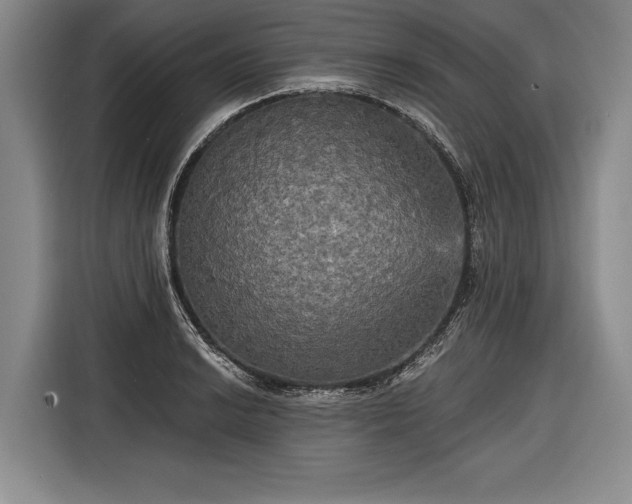 X0000116571038200912171500