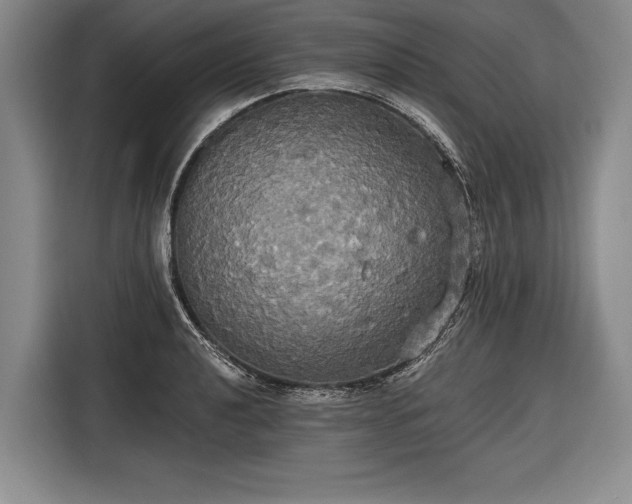 X0000116571040200912171500