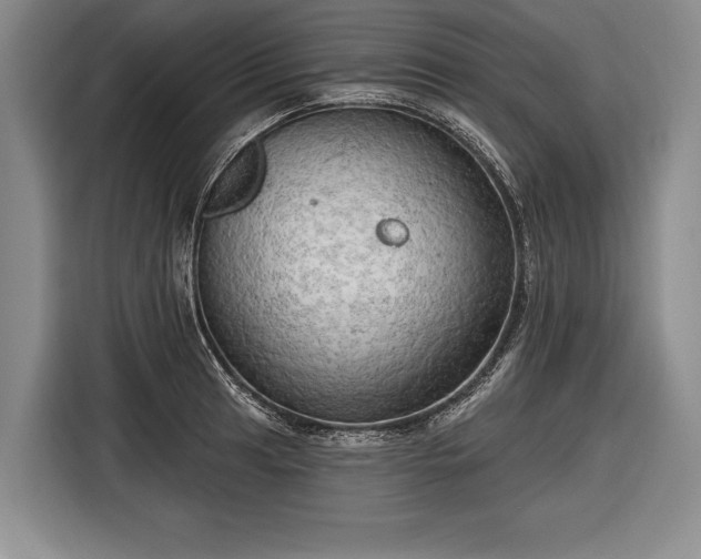 X0000116571041200912171500