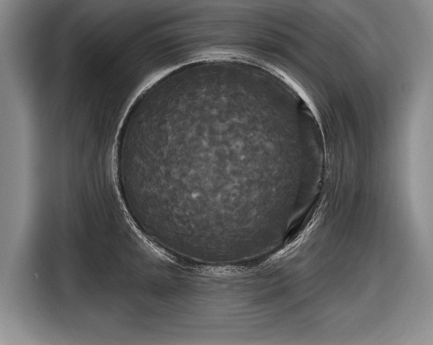 X0000116571045200912171500