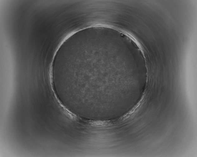 X0000116571048200912171500