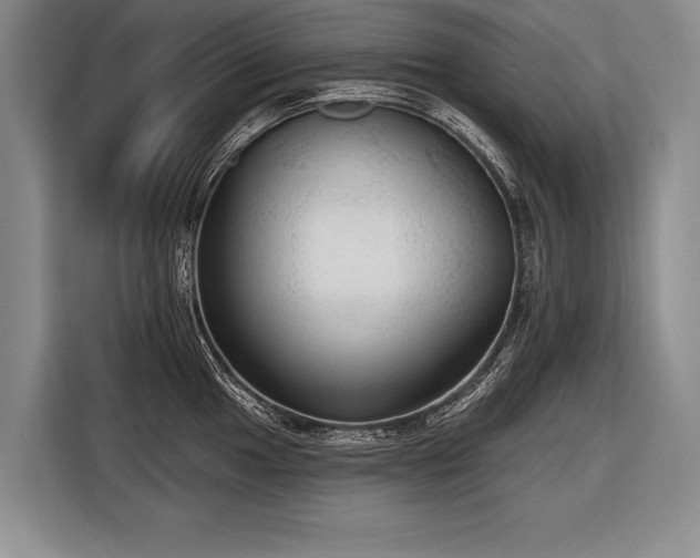 X0000116571049200912171500