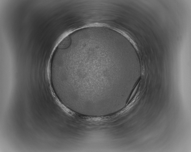 X0000116571054200912171500