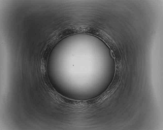 X0000116571058200912171459