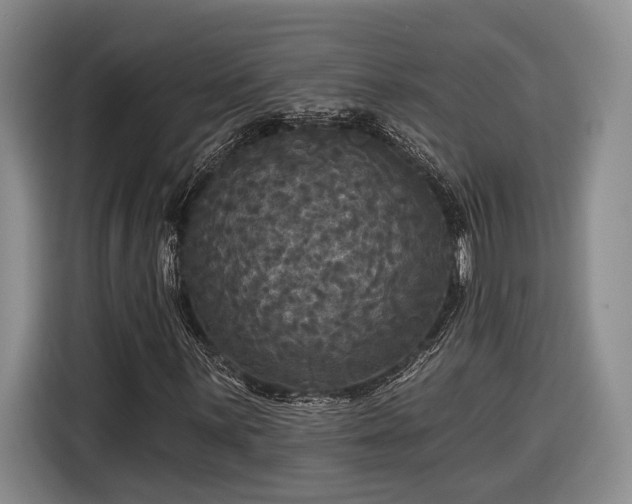 X0000116571059200912171459