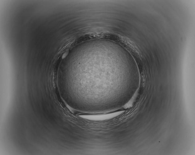 X0000116571060200912171459