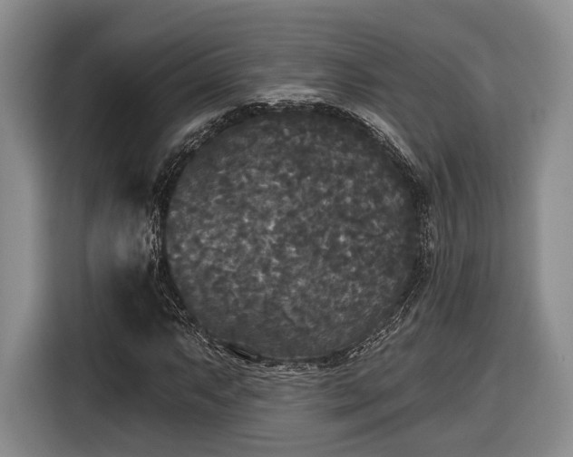 X0000116571063200912171459