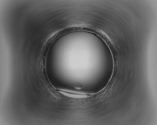 X0000116571064200912171459