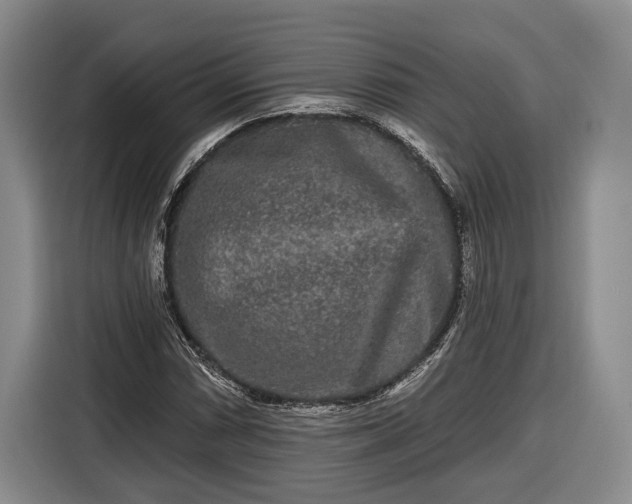 X0000116571066200912171459