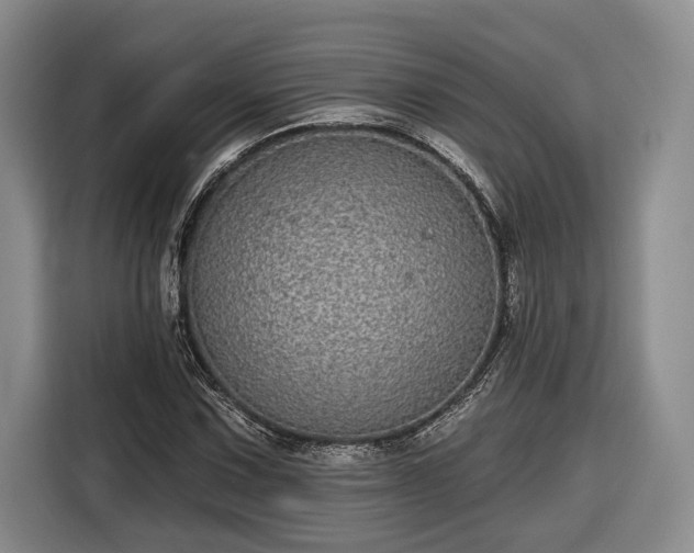 X0000116571067200912171459