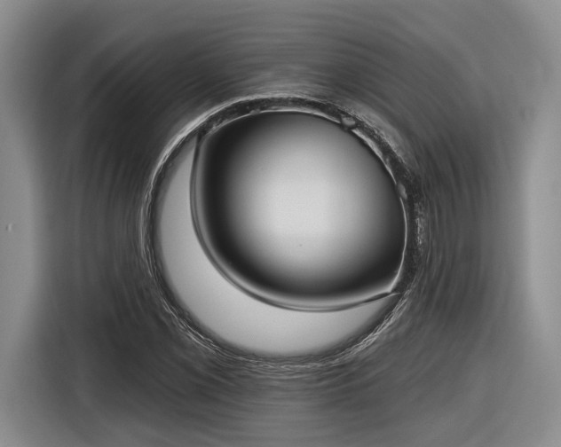 X0000116571069200912171459