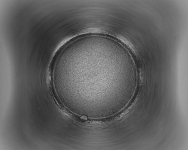 X0000116571070200912171459