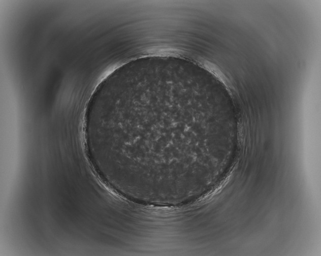 X0000116571071200912171459